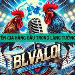 tường thuật đá gà hôm nay