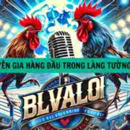 tường thuật đá gà