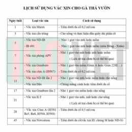 vacxin đa giá cho gà