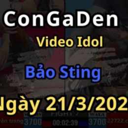 video đá gà bảo sting