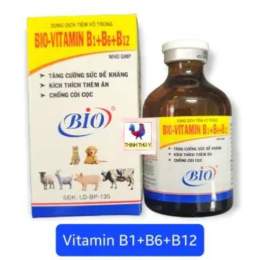 vitamin b1 b6, b12 cho gà đá