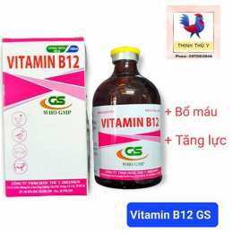 vitamin b12 cho gà đá