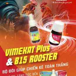 vitamin b15 cho gà đá