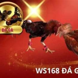 ws168 đá gà