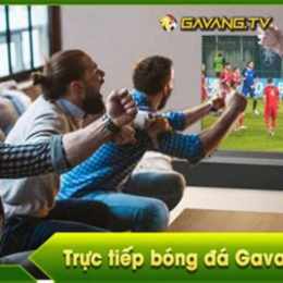 xem bóng đá gà vàng tv