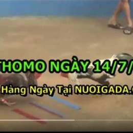 xem đá gà cam 67