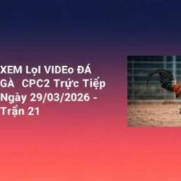 xem đá gà cpc2