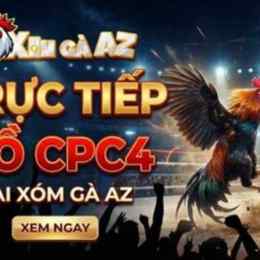 xem đá gà trực tiếp bồ 67