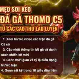 xem đá gà trực tiếp c5 hôm nay