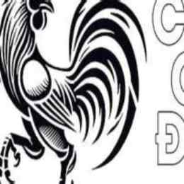 xem da ga truc tiep cpc2 congaden com