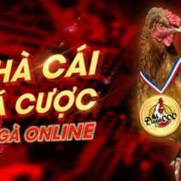 xem da ga truc tuyen campuchia