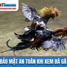 xem da ga trut tiep