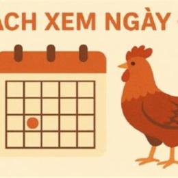xem lịch đá gà theo ngày
