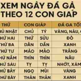 xem ngày đá gà theo 12 con giáp