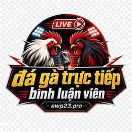 xem trực tiếp đá gà bình luận viên