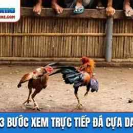 xem trực tiếp đá gà cựa dao