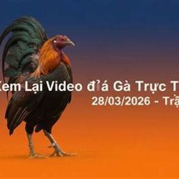 xem trực tiếp đa gà