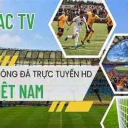 xoilac đá gà trực tiếp